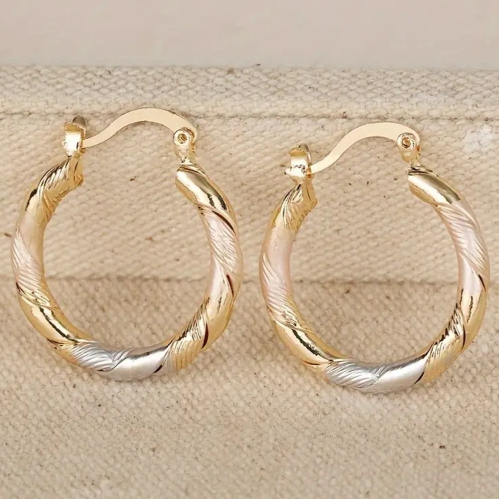 Elegant Gold and Silver Hoop Earrings